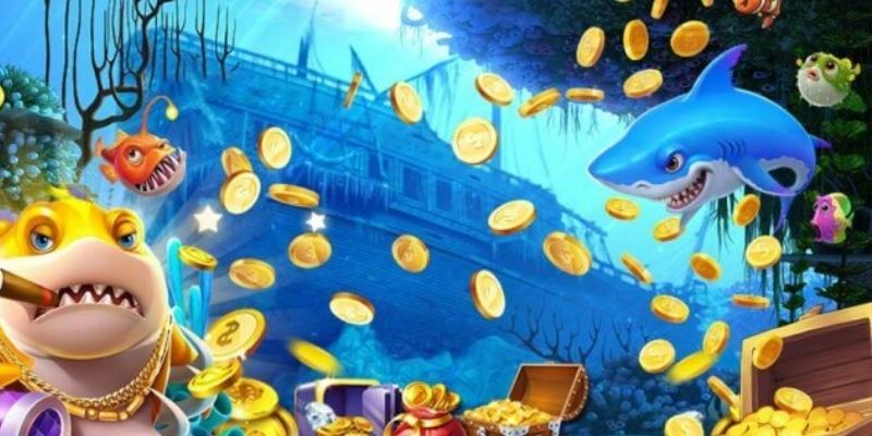 Bỏ túi kinh nghiệm thắng lớn khi bắt đầu đại hải trình