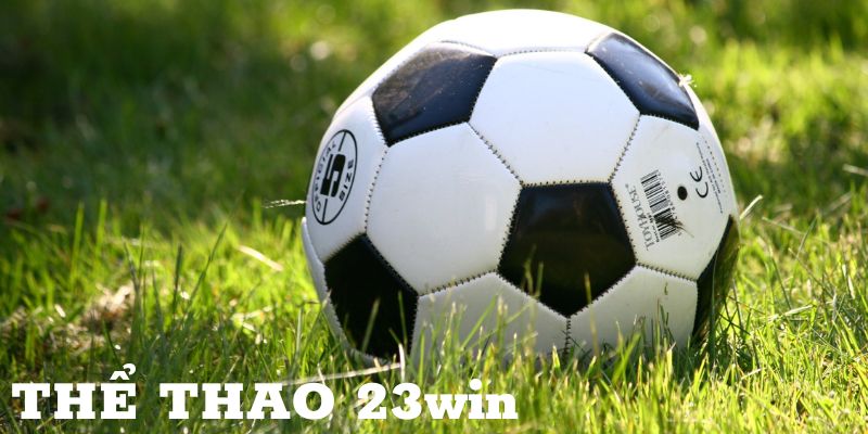 Nhiều hình thức cược với tỉ lệ cược hấp dẫn