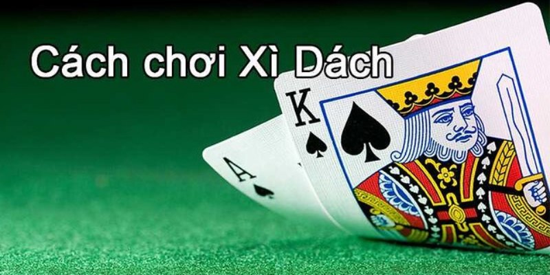 Luật chơi xì dách 23WIN chuẩn xác dành cho newbie chưa biết