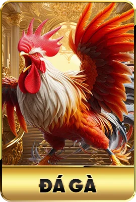 Đá gà 23WIN